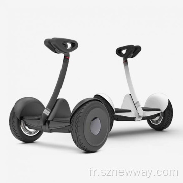 Ninebot Mini Pro Scooter électrique Polletable 2 roues
